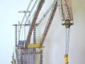 mod_cranes_hansen19