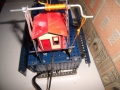 mod_cranes_klein24