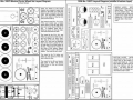 news_ferris_wheel